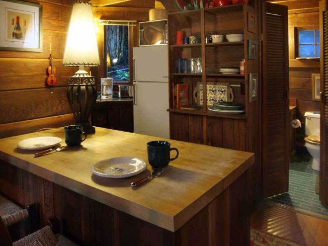 0077 Meet Dreamcatcher — the rustic forest cabin with a surprise on the back patio smallhometours.com 9