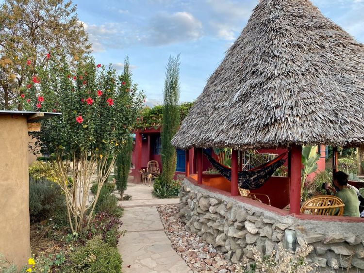 0087 Woman builds impressive off grid homestead in the African bush smallhometours.com 5