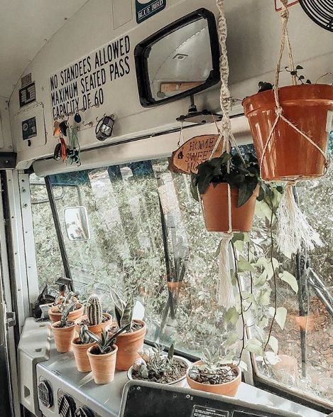 0102 How one couple lives on the go without sacrificing the comforts of home in their renovated skoolie 2