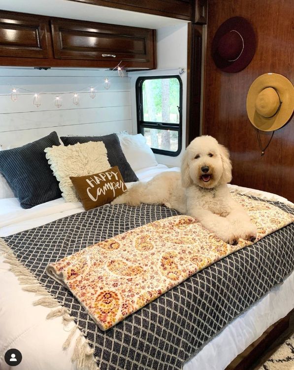0103 Florida family of threes perfect RV lifestyle 12