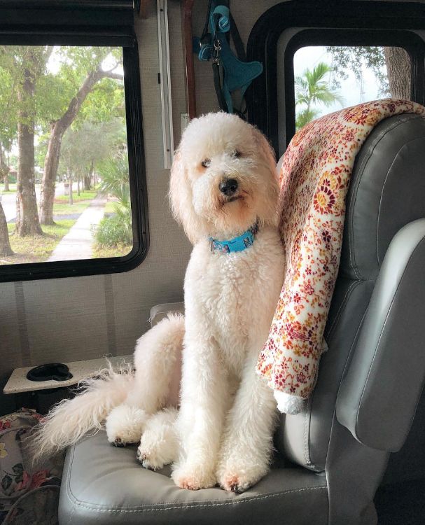 0103 Florida family of threes perfect RV lifestyle 16