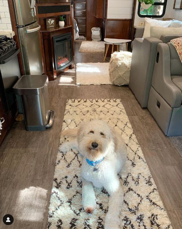 0103 Florida family of threes perfect RV lifestyle 7