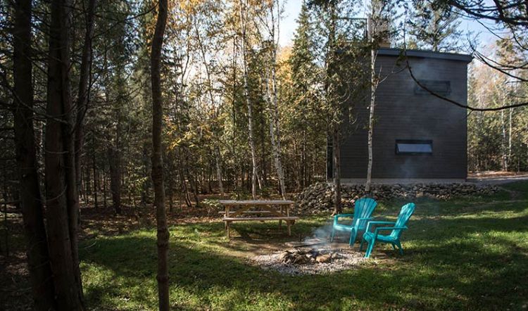 0146 A wall of glass connects this contemporary micro chalet with enchanted woodlands smallhometours.com 8