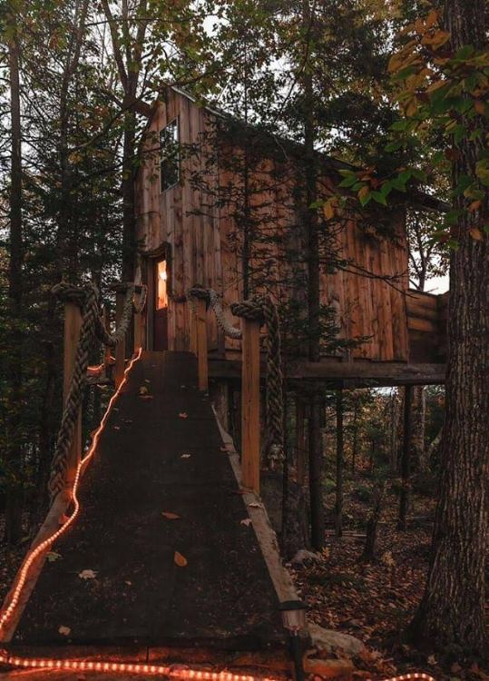 0183 Get a glimpse inside what its like to sleep in a grown up tree house smallhometours.com 2