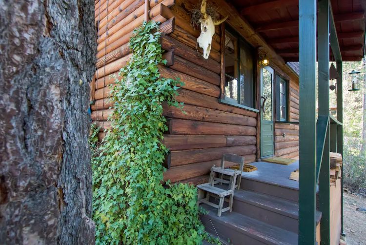 0194 Tour a unique log cabin – youll fall in love the impressive master suite within smallhometours.com 2
