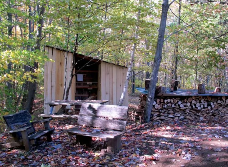 0200 Enjoy this woodland cabins fantastic views then turn toward its gorgeous interior design smallhometours.com 11
