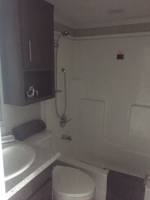 0208 Dont call this a trailer. This park model has the best floor plan yet smallhometours.com 6