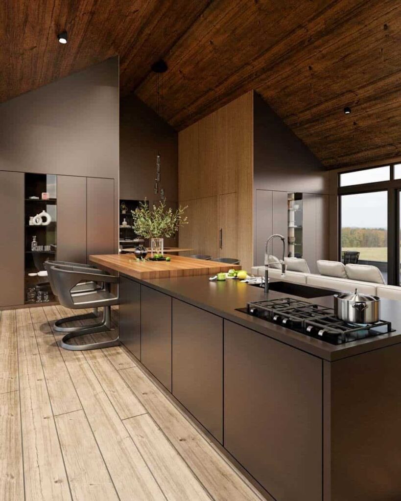 0330 311044RMZ contemporary country home architectural designs smallhometours 4