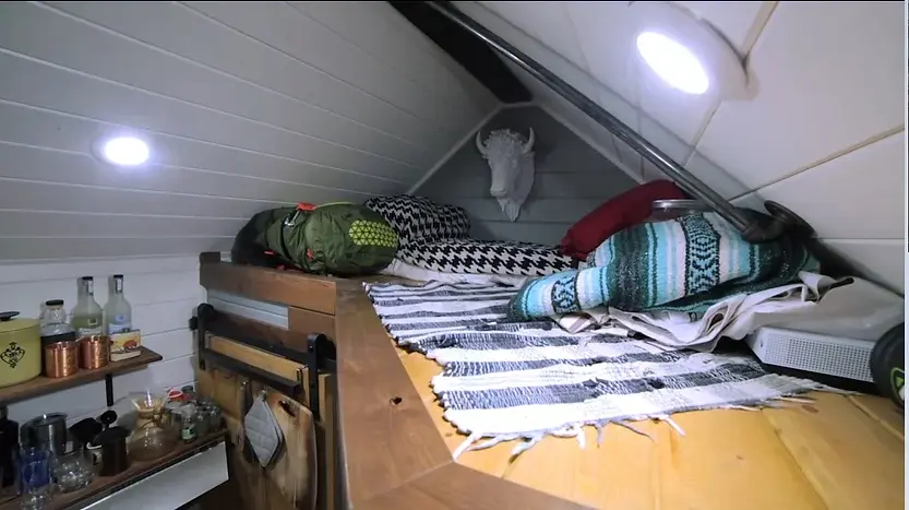 0318 Living in a 20 tiny house comfortably with 2 dogs smallhometours.com 1