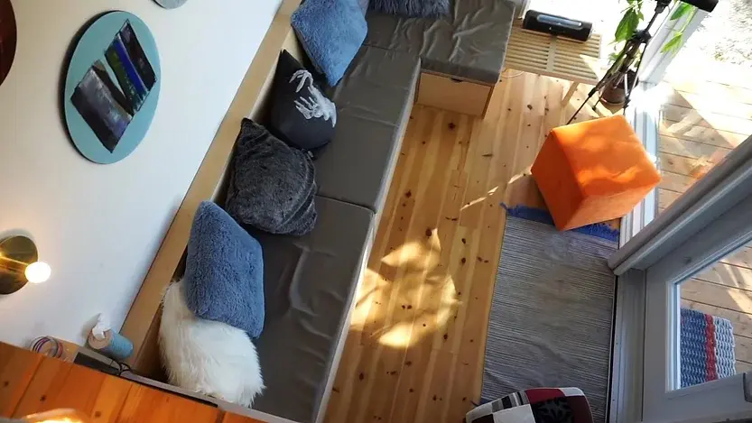 0327 210 sqft tiny house with space saving hidden bathroom smallhometours.com 2