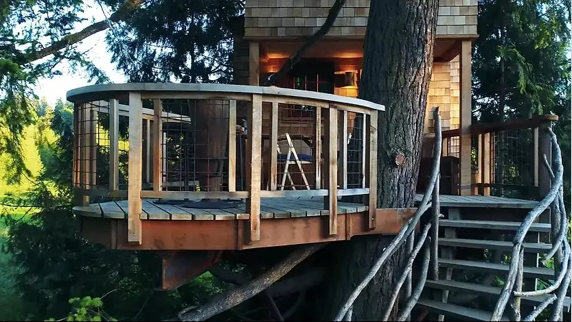 0344 Incredible home nestled amongst the trees smallhometours.com 4