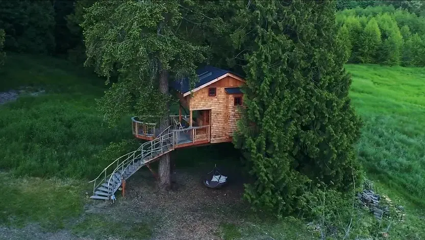 0344 Incredible home nestled amongst the trees smallhometours.com 5