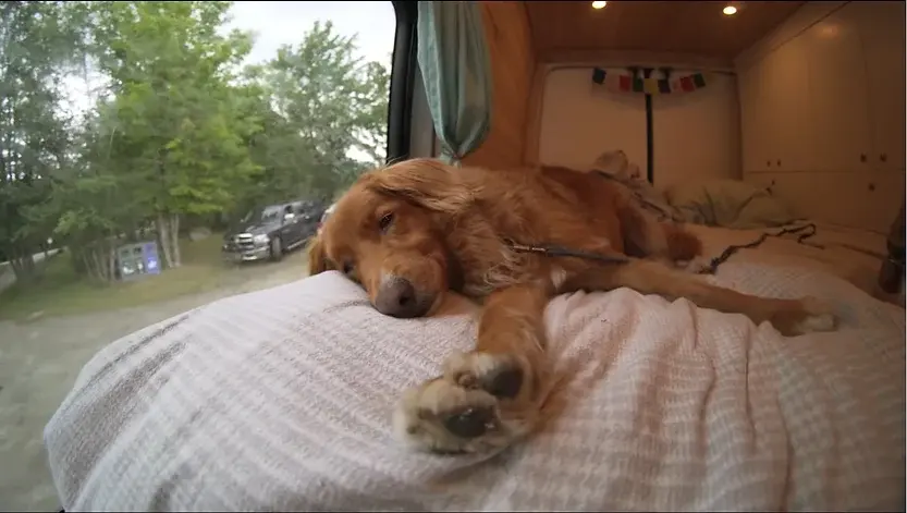 0354 Living in a DIY camper van after selling their house smallhometours.com 2