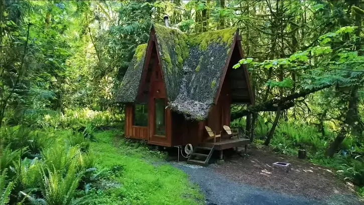 0363 This enchanting and whimsical cabin is guaranteed to take your breath away smallhometours.com 1
