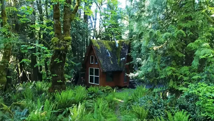0363 This enchanting and whimsical cabin is guaranteed to take your breath away smallhometours.com 2