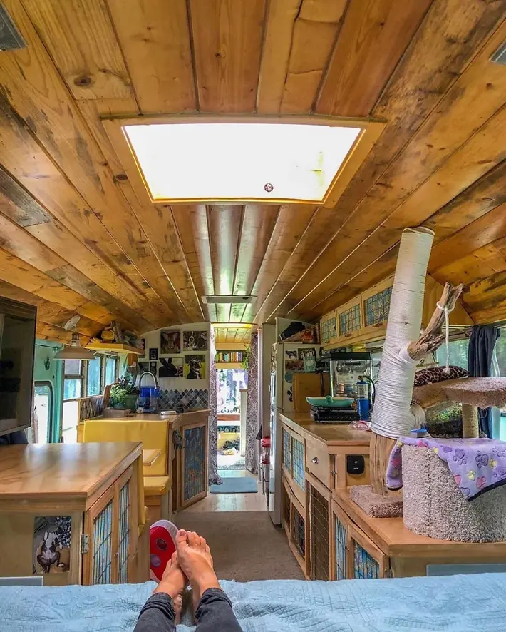 0445 Off grid bus conversion life with 5 pets two rabbits two cats and a senior dog smallhometours.com 5