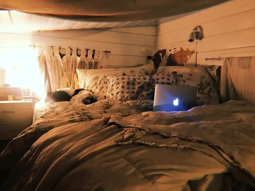 0451 She designed her own tiny home at 19 Yr Olds and moved into it straight after college smallhometours.com 1