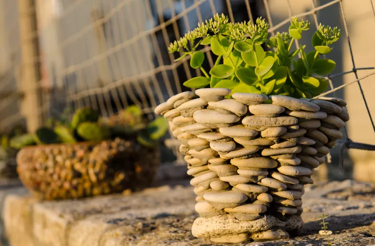 River Rock Landscaping Ideas for Beautiful Backyards and Outdoor Spaces
