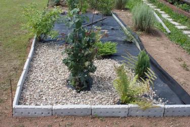 River Rock Landscaping Ideas for Beautiful Backyards and Outdoor Spaces