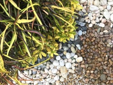 River Rock Landscaping Ideas for Beautiful Backyards and Outdoor Spaces