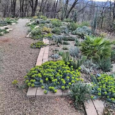 River Rock Landscaping Ideas for Beautiful Backyards and Outdoor Spaces