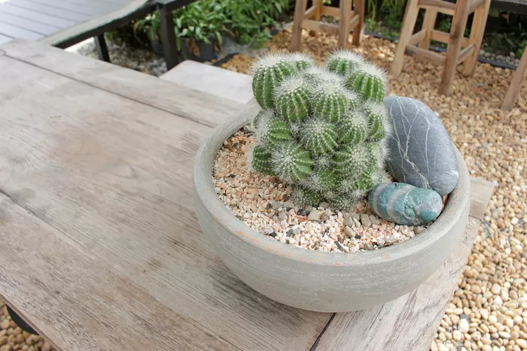 River Rock Landscaping Ideas for Beautiful Backyards and Outdoor Spaces