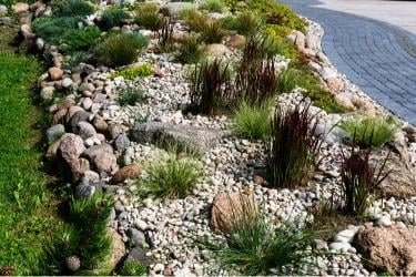 River Rock Landscaping Ideas for Beautiful Backyards and Outdoor Spaces