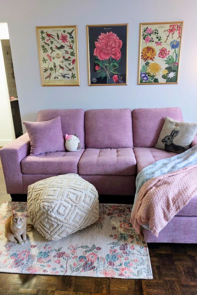 16 Girly Living Room Ideas for Small Spaces for Apartments That Feels Like a Hug smallhometours 17