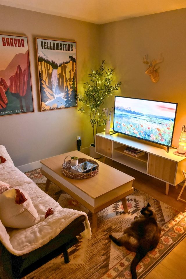 16 Girly Living Room Ideas for Small Spaces for Apartments That Feels Like a Hug smallhometours 18