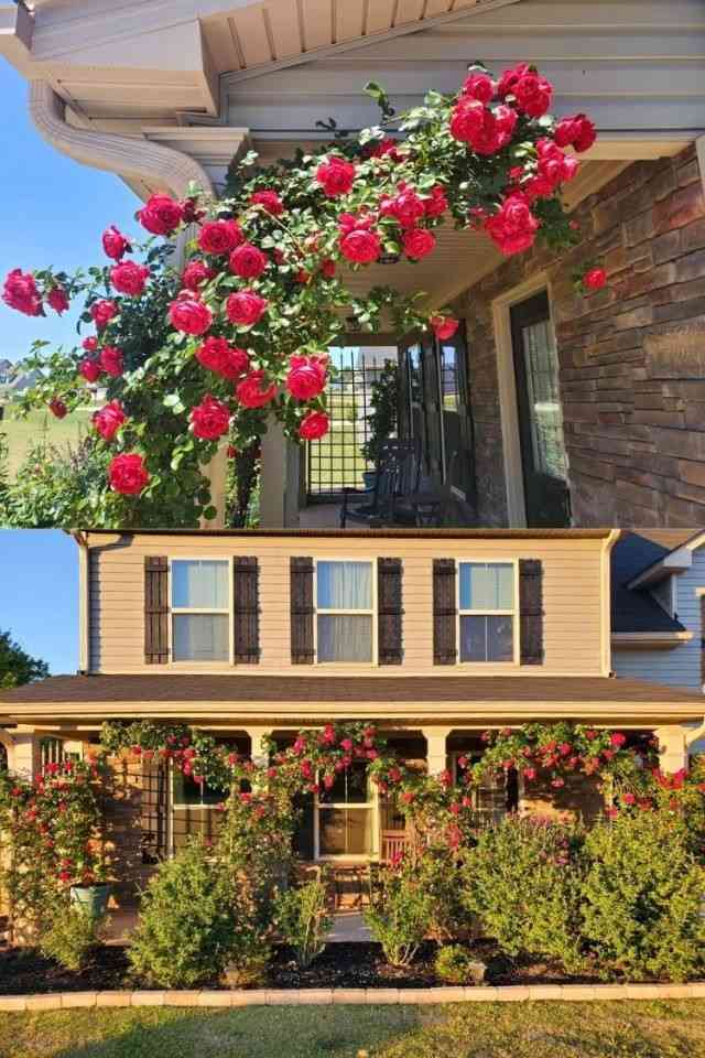 26 Cozy and Charming Small Front Porch Ideas Youll Love For Every Season smallhometours.com 11