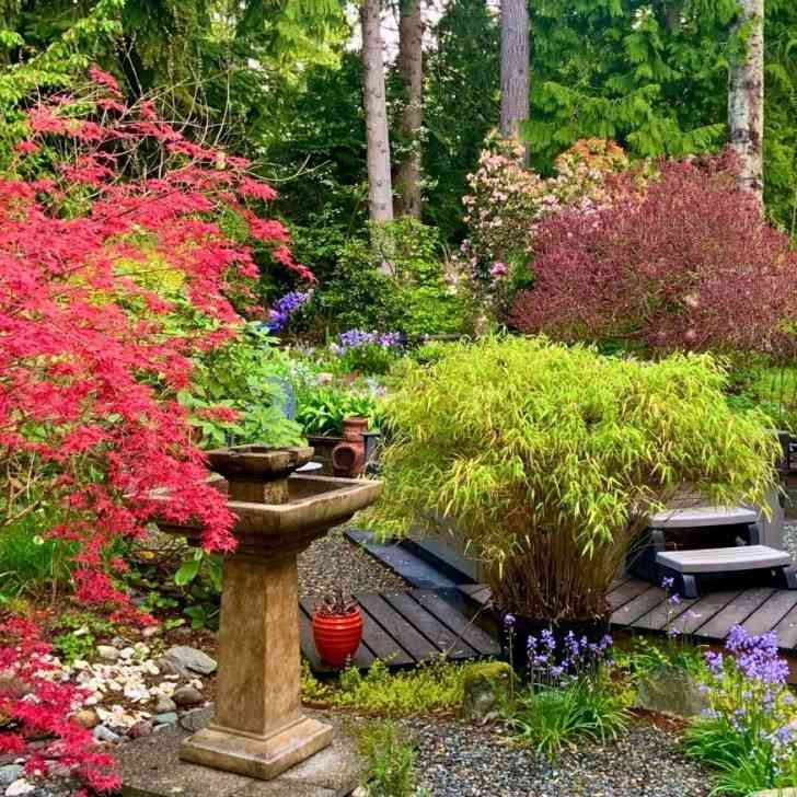 35 Beautiful Front Yard Landscaping Ideas For Spring That Feels Inviting and Full of Life smallhometours.com 10