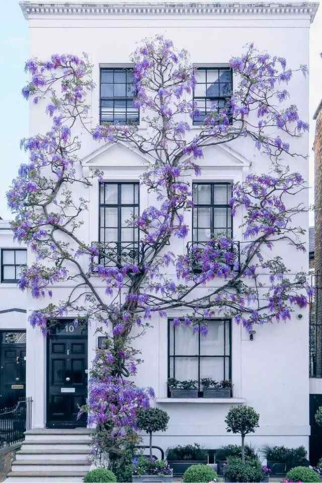 35 Beautiful Front Yard Landscaping Ideas For Spring That Feels Inviting and Full of Life smallhometours.com 16