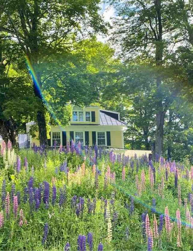 35 Beautiful Front Yard Landscaping Ideas For Spring That Feels Inviting and Full of Life smallhometours.com 7 rotated