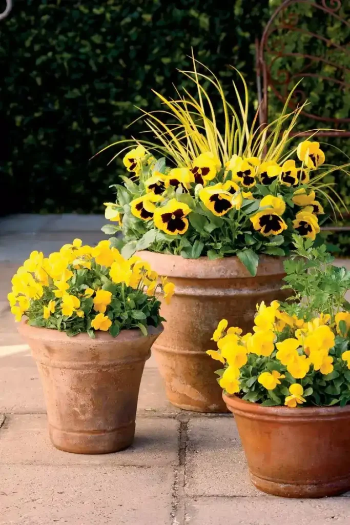 53 Colorful Front Porch Planter Ideas To Brighten Your Spring smallhometours.com 10