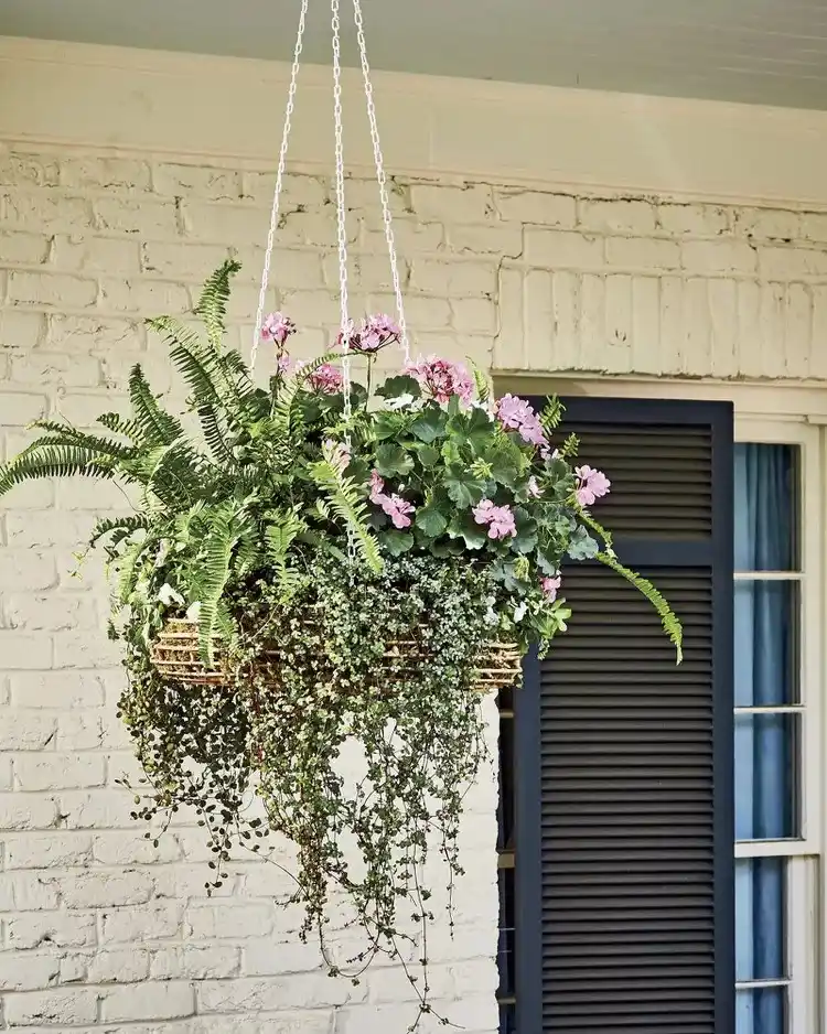 53 Colorful Front Porch Planter Ideas To Brighten Your Spring smallhometours.com 23