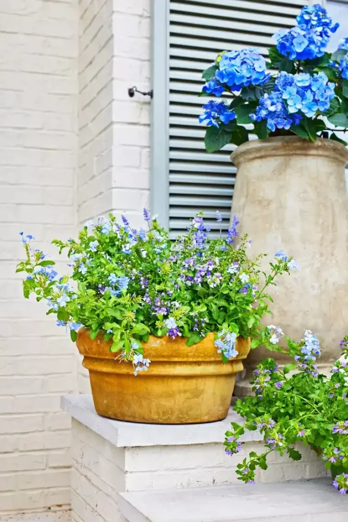 53 Colorful Front Porch Planter Ideas To Brighten Your Spring smallhometours.com 34