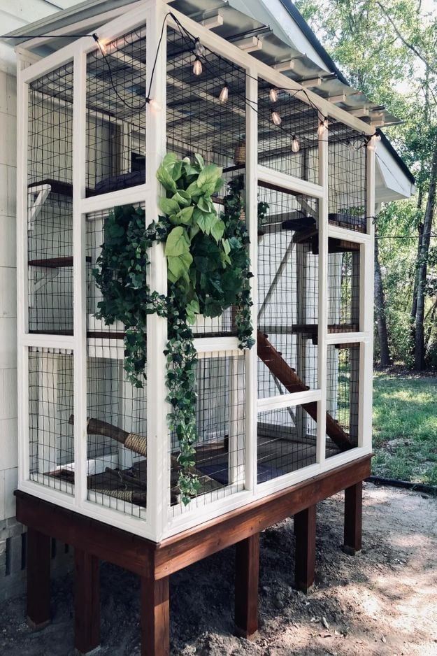 Catio (Cat Patio) Ideas for the outdoors, patio, porch, and balcony.