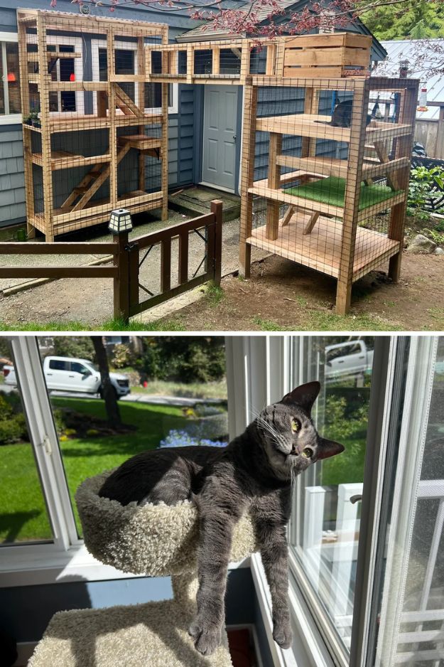 Catio (Cat Patio) Ideas for the outdoors, patio, porch, and balcony.