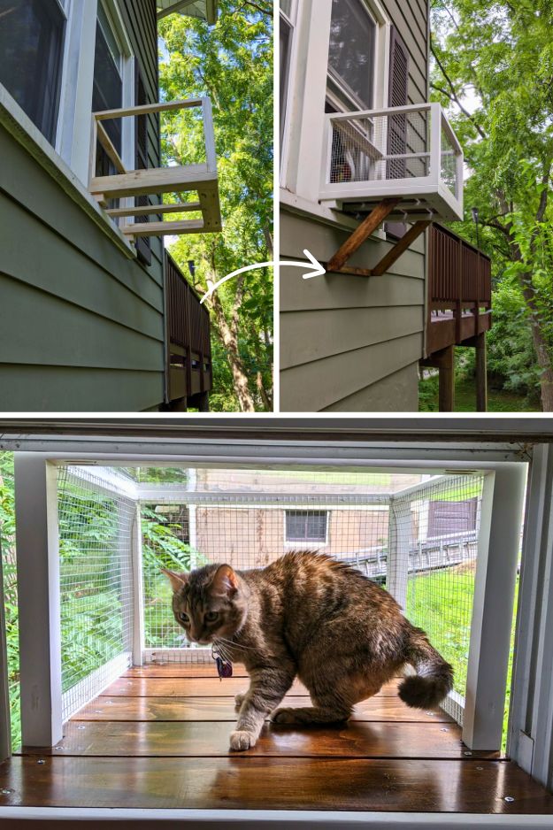 Catio (Cat Patio) Ideas for the outdoors, patio, porch, and balcony.