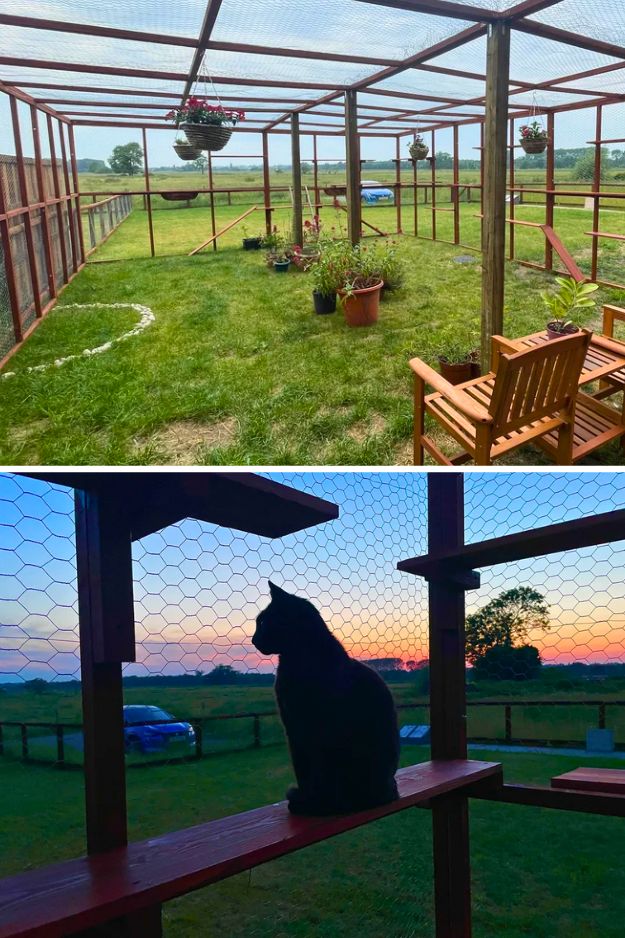 Catio (Cat Patio) Ideas for the outdoors, patio, porch, and balcony.