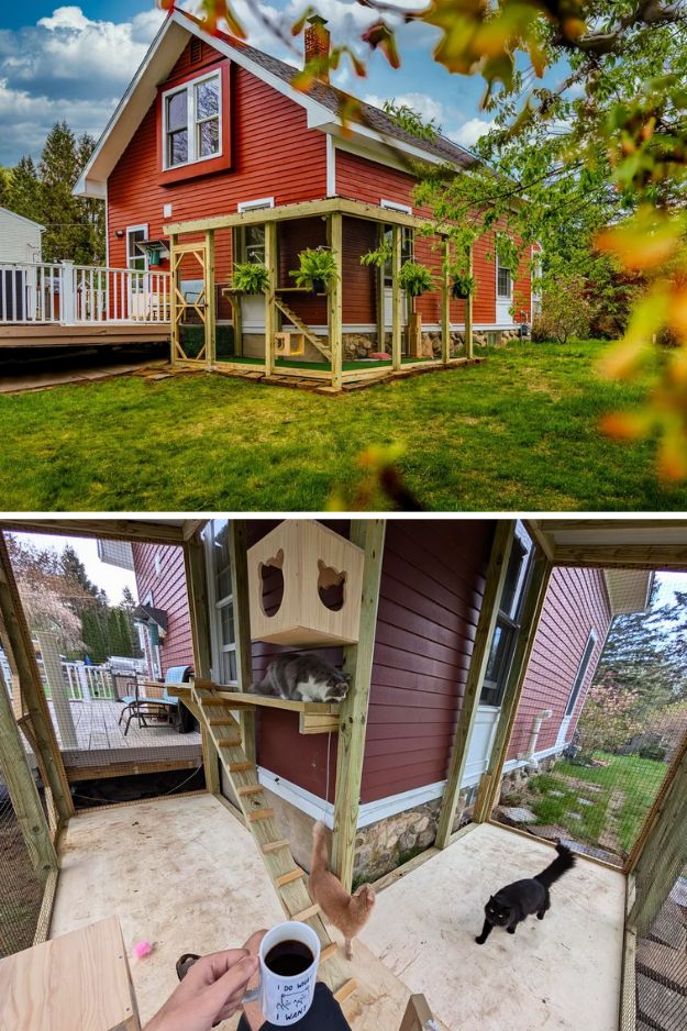 Catio (Cat Patio) Ideas for the outdoors, patio, porch, and balcony.