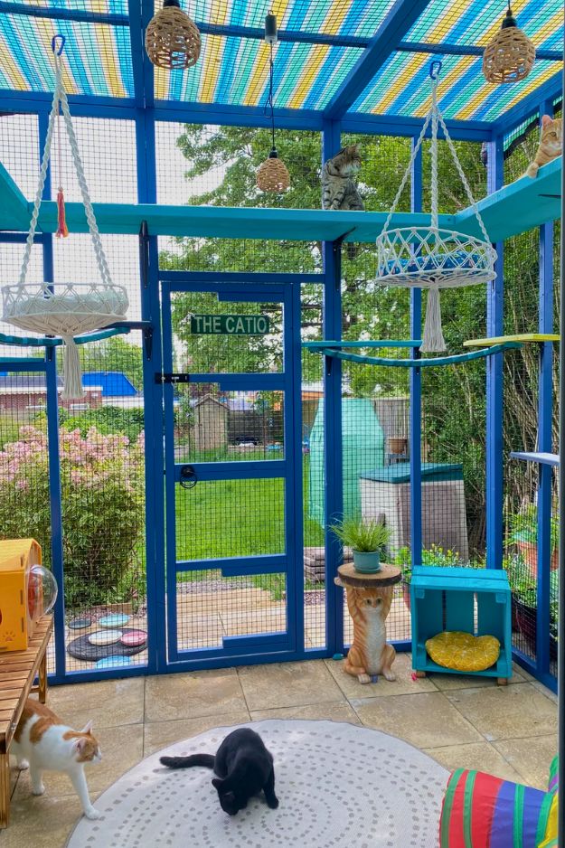 Catio (Cat Patio) Ideas for the outdoors, patio, porch, and balcony.