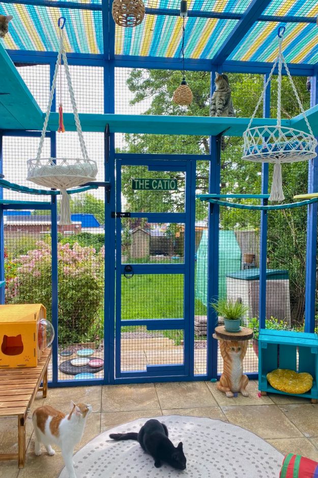 Catio (Cat Patio) Ideas for the outdoors, patio, porch, and balcony.