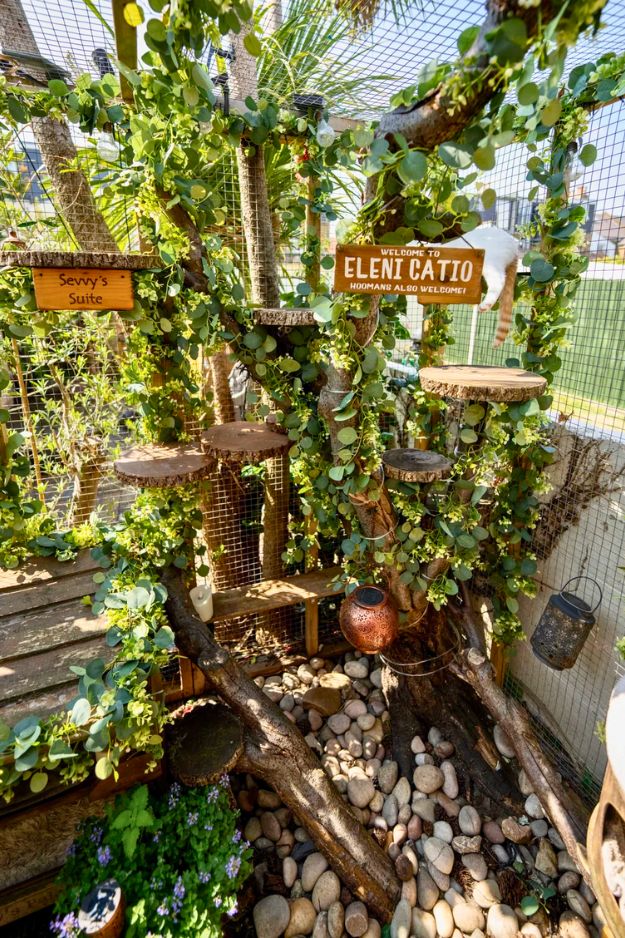 Catio (Cat Patio) Ideas for the outdoors, patio, porch, and balcony.