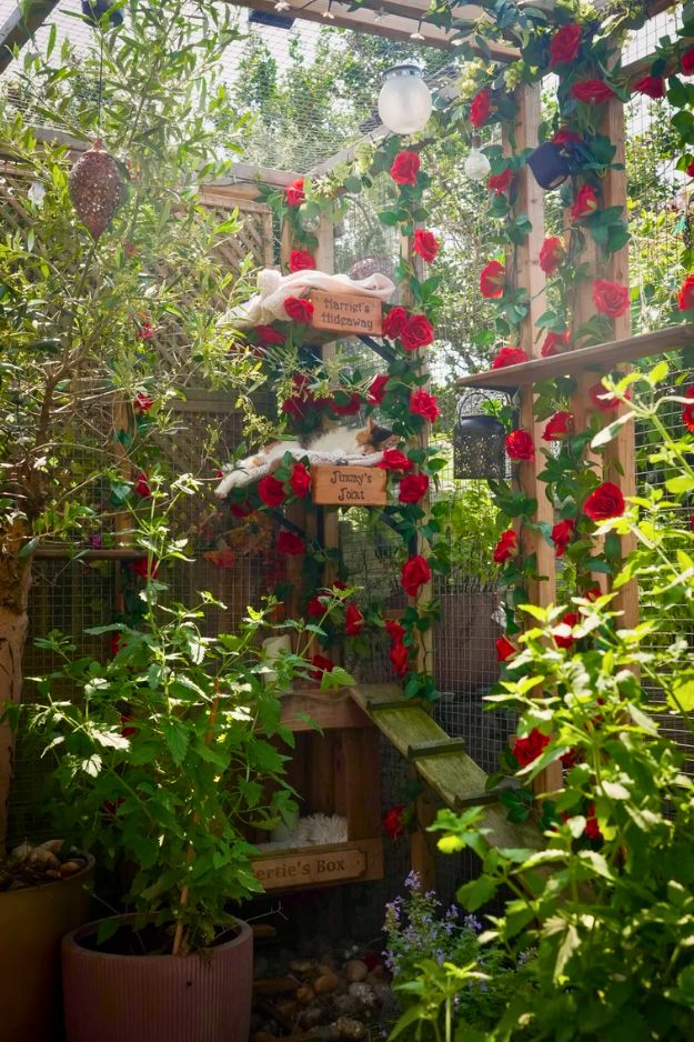 Catio (Cat Patio) Ideas for the outdoors, patio, porch, and balcony.