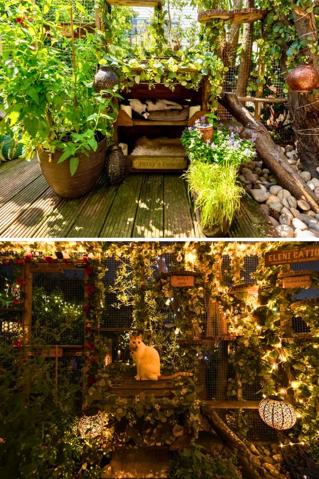 Catio (Cat Patio) Ideas for the outdoors, patio, porch, and balcony.