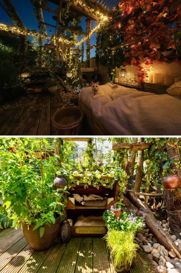 Catio (Cat Patio) Ideas for the outdoors, patio, porch, and balcony.