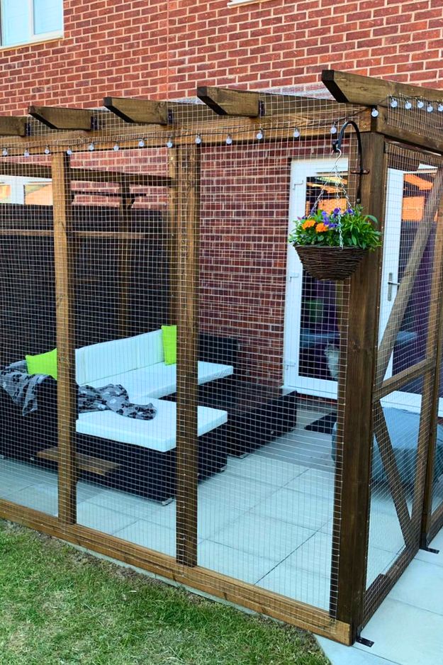 Catio (Cat Patio) Ideas for the outdoors, patio, porch, and balcony.