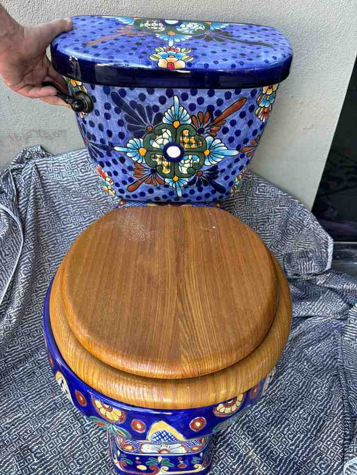 20 Intricate Mexican Toilet Designs Featuring Hand Painted Seats and Talavera Ceramic You Need to See smallhometours.com 4