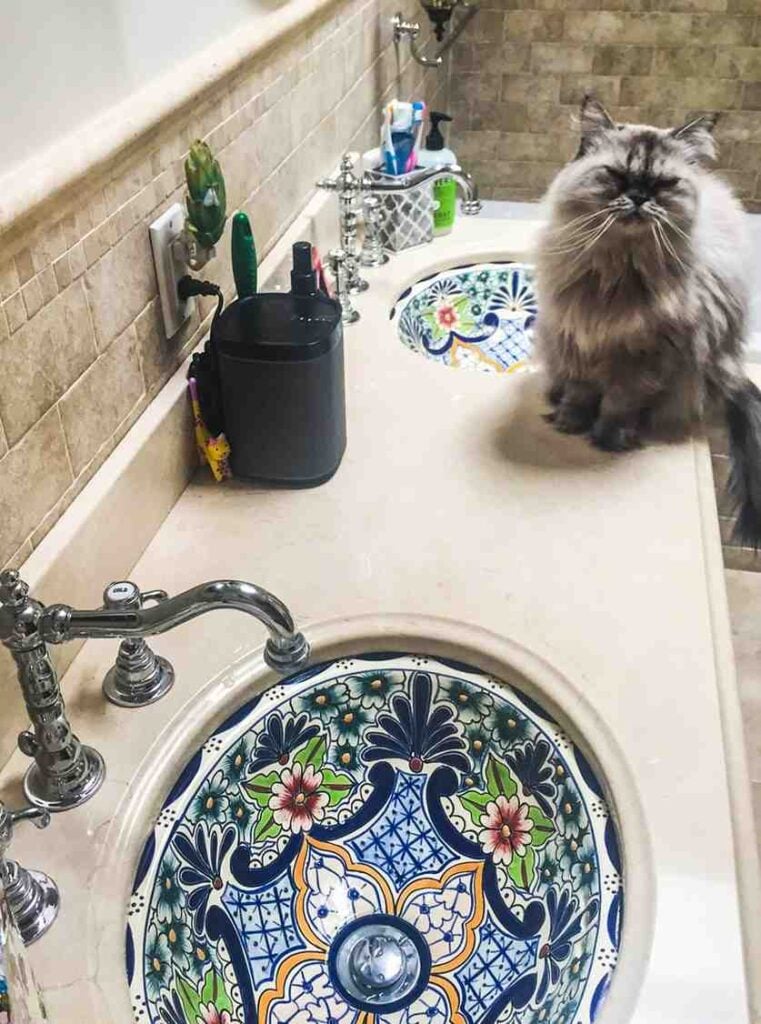 25 Vibrant Mexican Bathroom Sink and Vanity Ideas You Have to See Featuring Painted Ceramic Basin Bowl smallhometours.com 3
